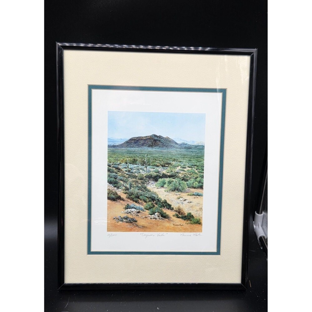 Signed Framed Print Connie Cook Saguaro Vista 10 / 500 Arizona Desert 15 x 12